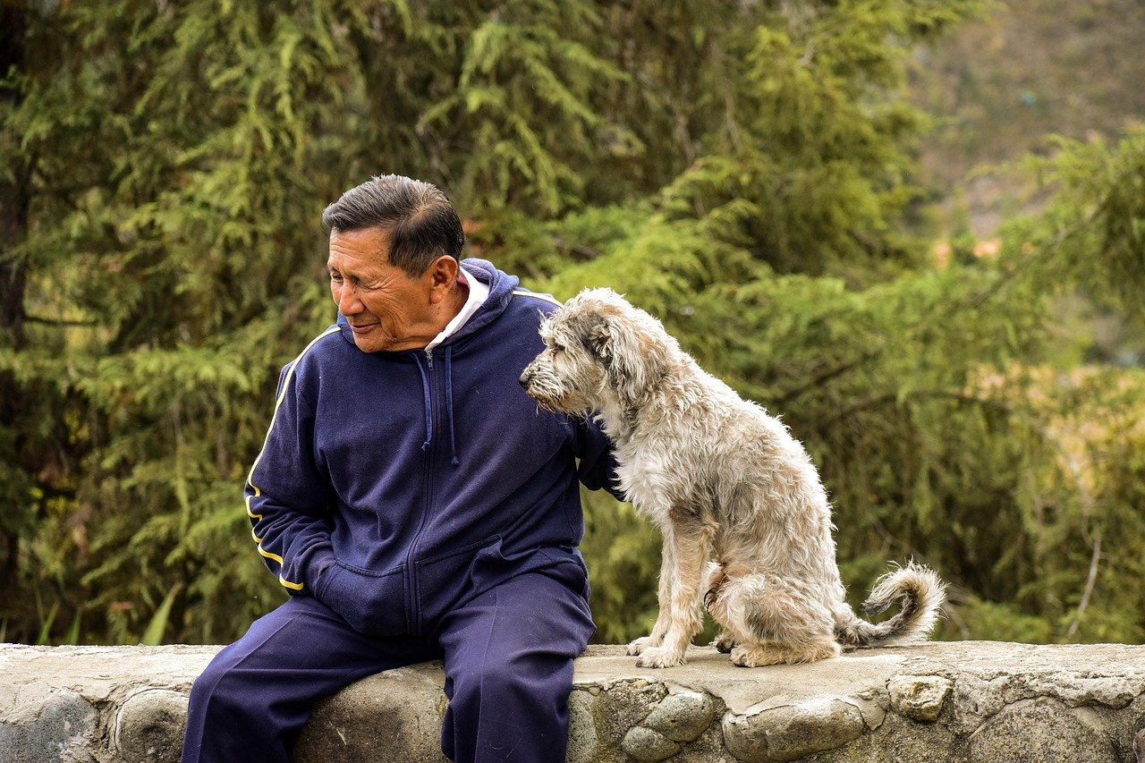 Dogs as Social Bridges for Older Adults (image credits: pixabay)