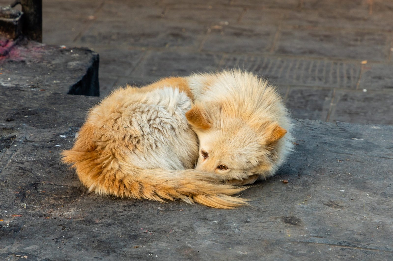 Ignoring or Avoiding You (image credits: wikimedia)