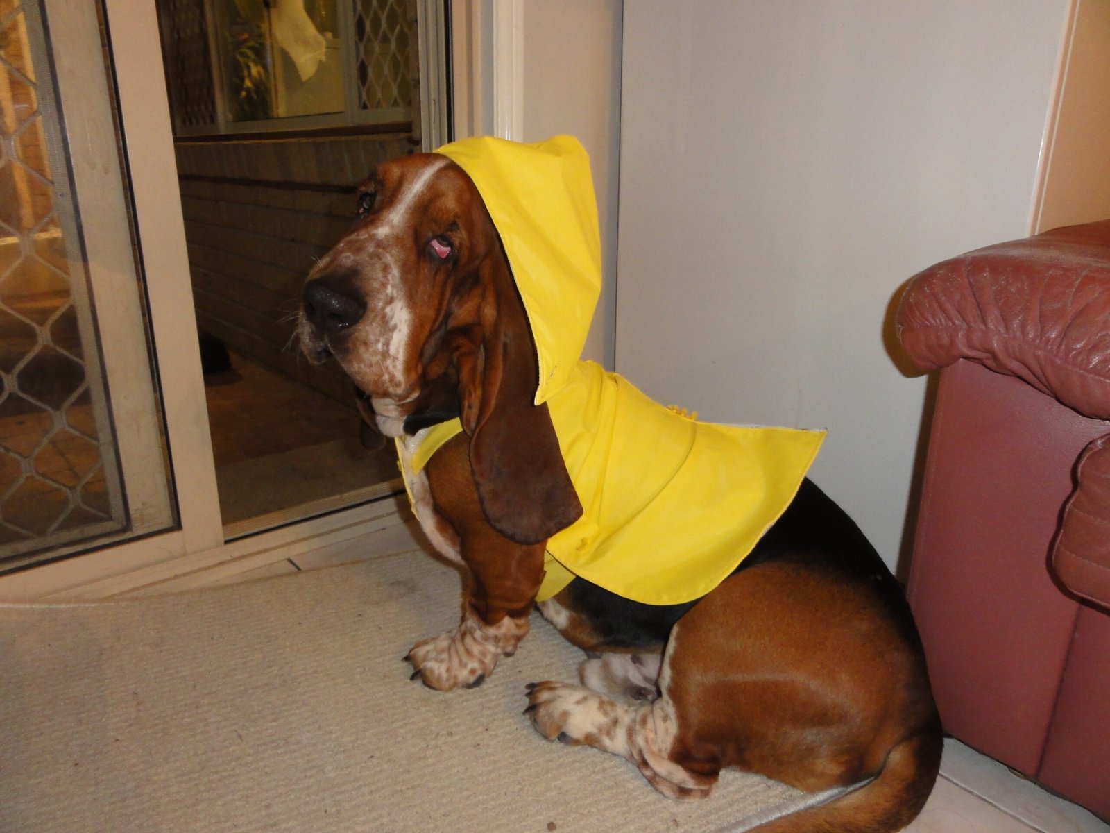 You Predict the Weather (Well, Sort Of) (image credits: wikimedia)