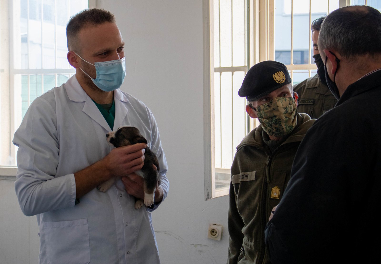 Working with Your Veterinarian: The Importance of Personalized Advice (image credits: wikimedia)