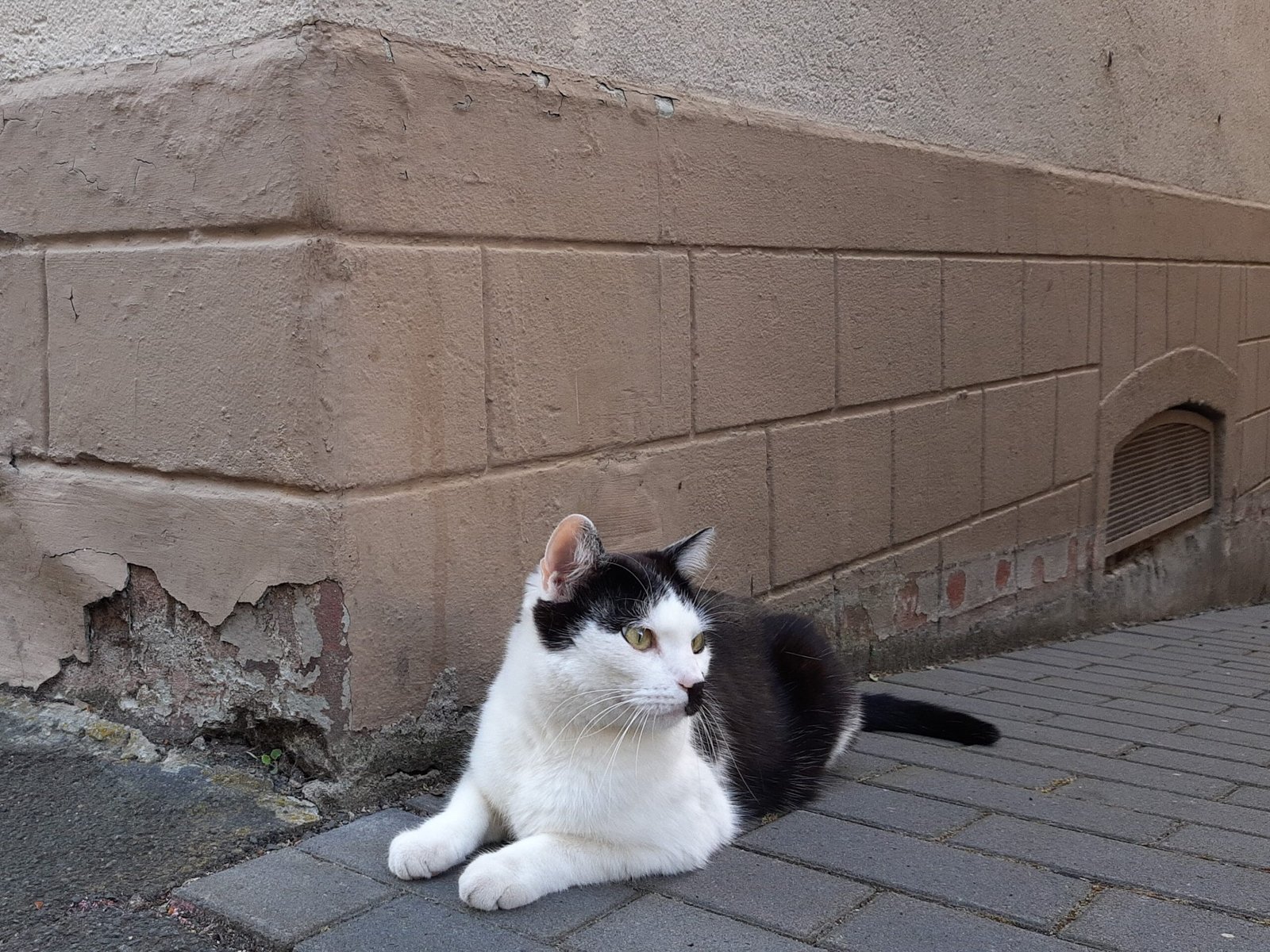 Listening to the Walls: The Unseen Orchestra (image credits: wikimedia)