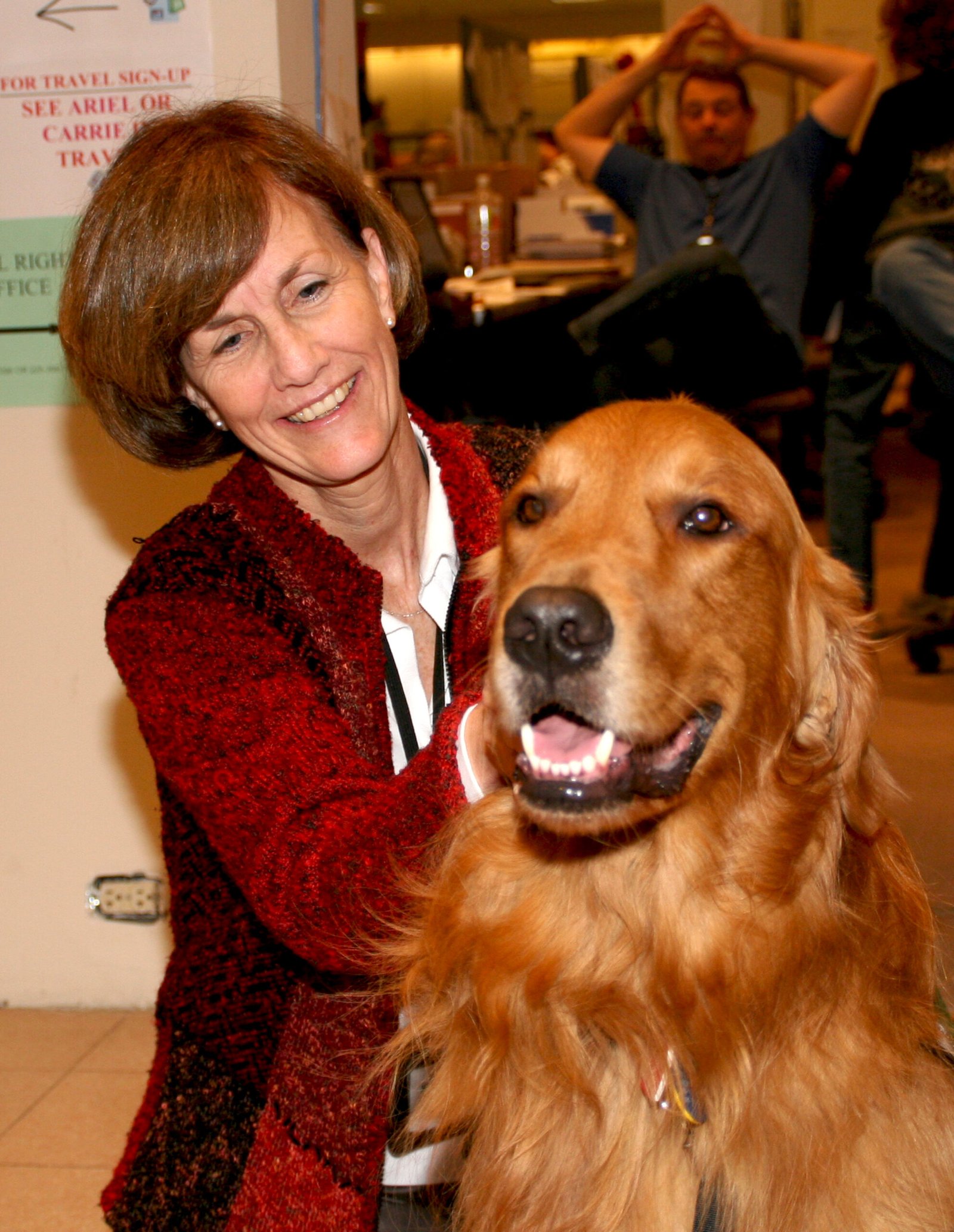 Golden Retriever (image credits: wikimedia)