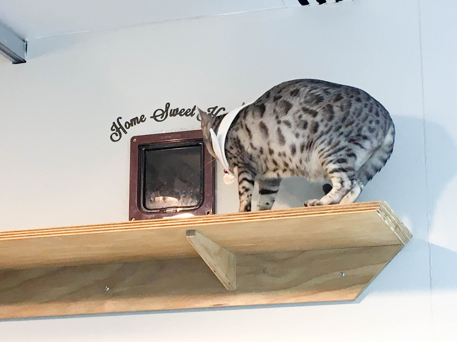 14. Not Providing Vertical Space (image credits: wikimedia)