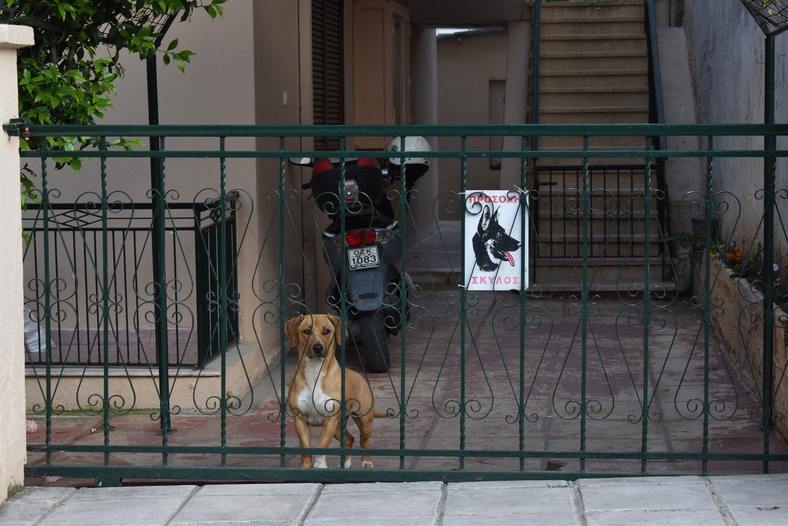 Safety and Security (image credits: wikimedia)