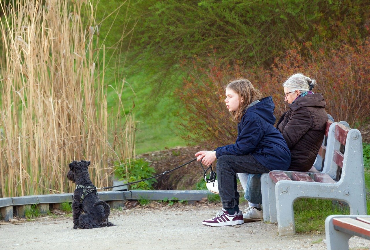 Celebrating Small Victories (image credits: pixabay)