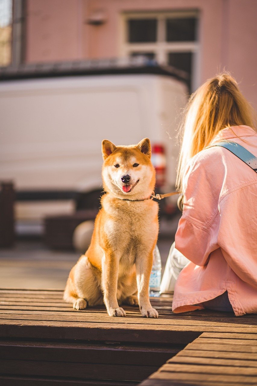 Inspiring Lifelong Learning (image credits: pixabay)