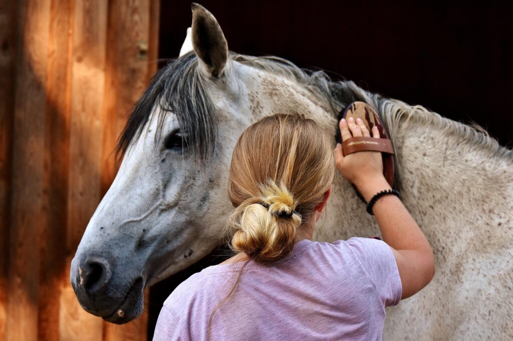 10 Effective Methods For Grooming Shy Horses