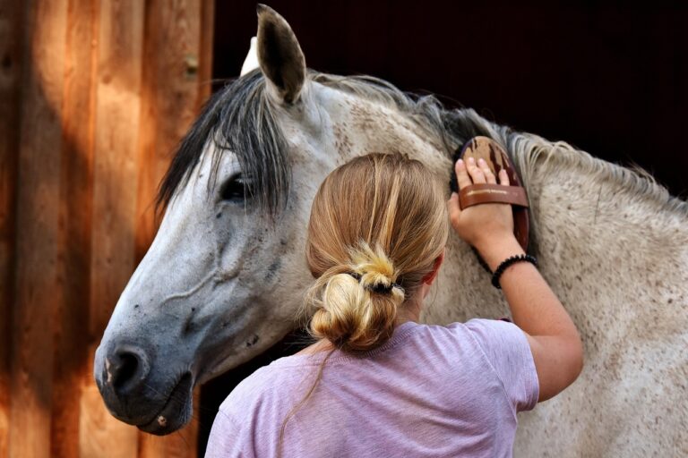 10 Effective Methods For Grooming Shy Horses