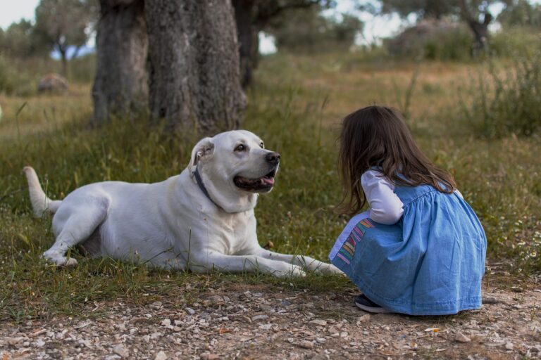How To Teach Your Grandchildren To Respect Your Dog's Boundaries