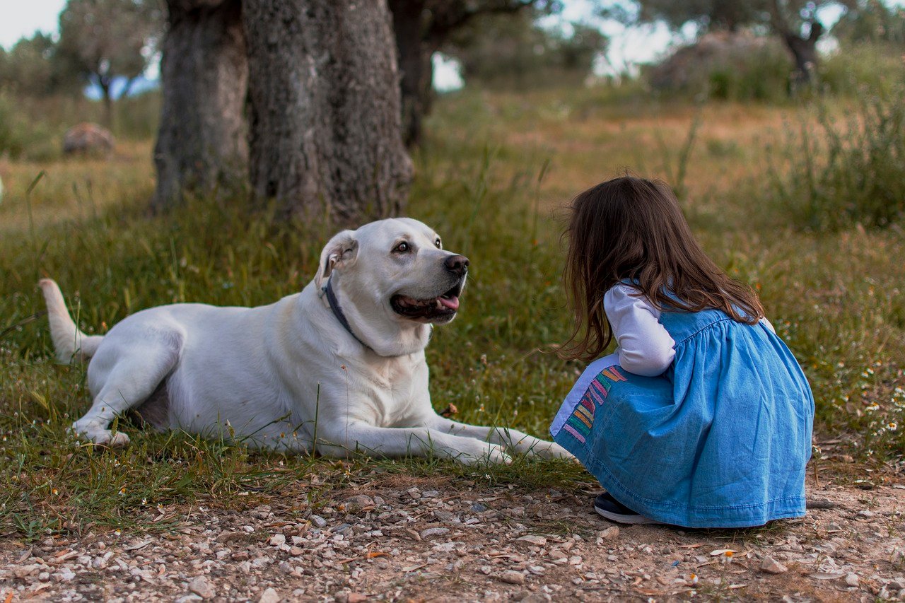 How To Teach Your Grandchildren To Respect Your Dog’s Boundaries