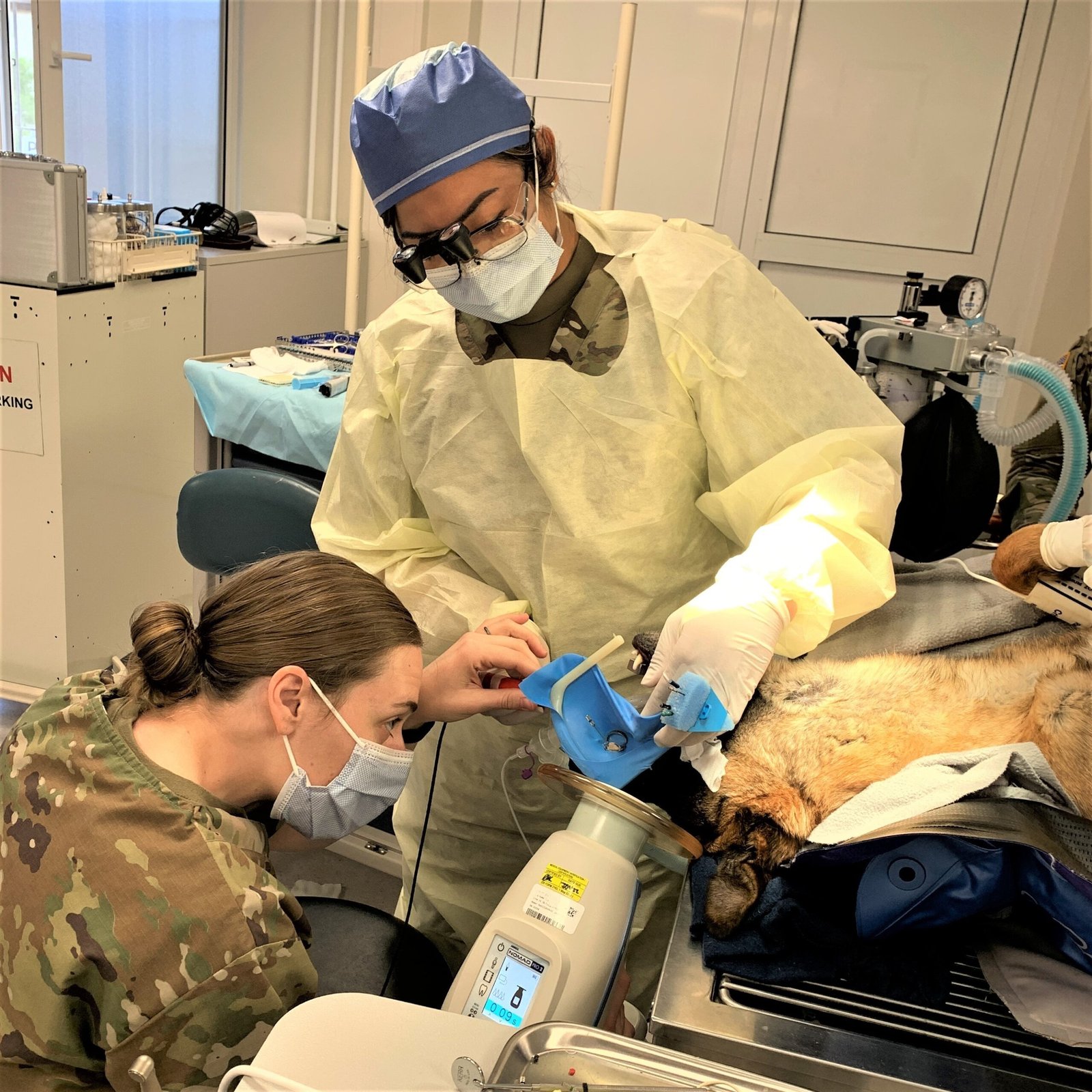 Ignoring Dental Health (image credits: wikimedia)