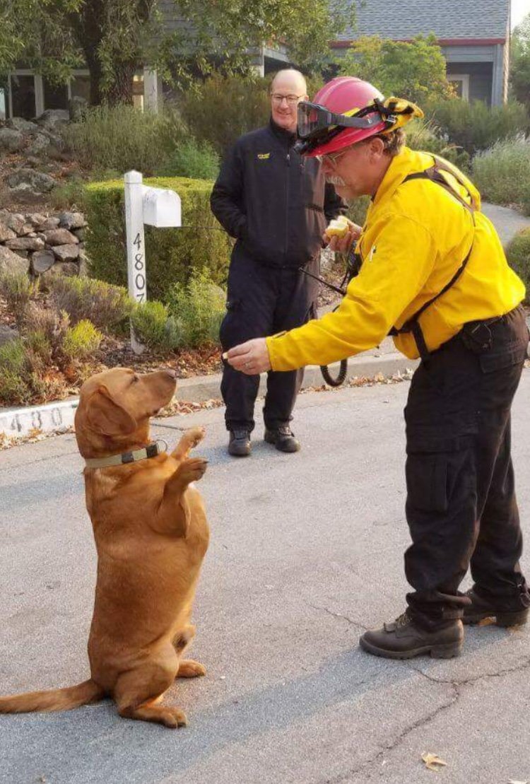 Practice With “Fake” Guests (image credits: wikimedia)