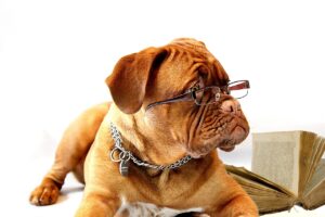 10 Ways Dogs Sense Your Hidden Fears