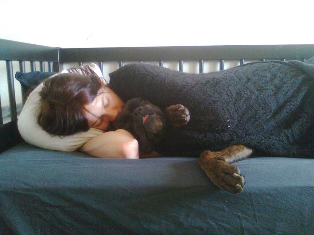 The Myths and Magic of Dog Cuddles