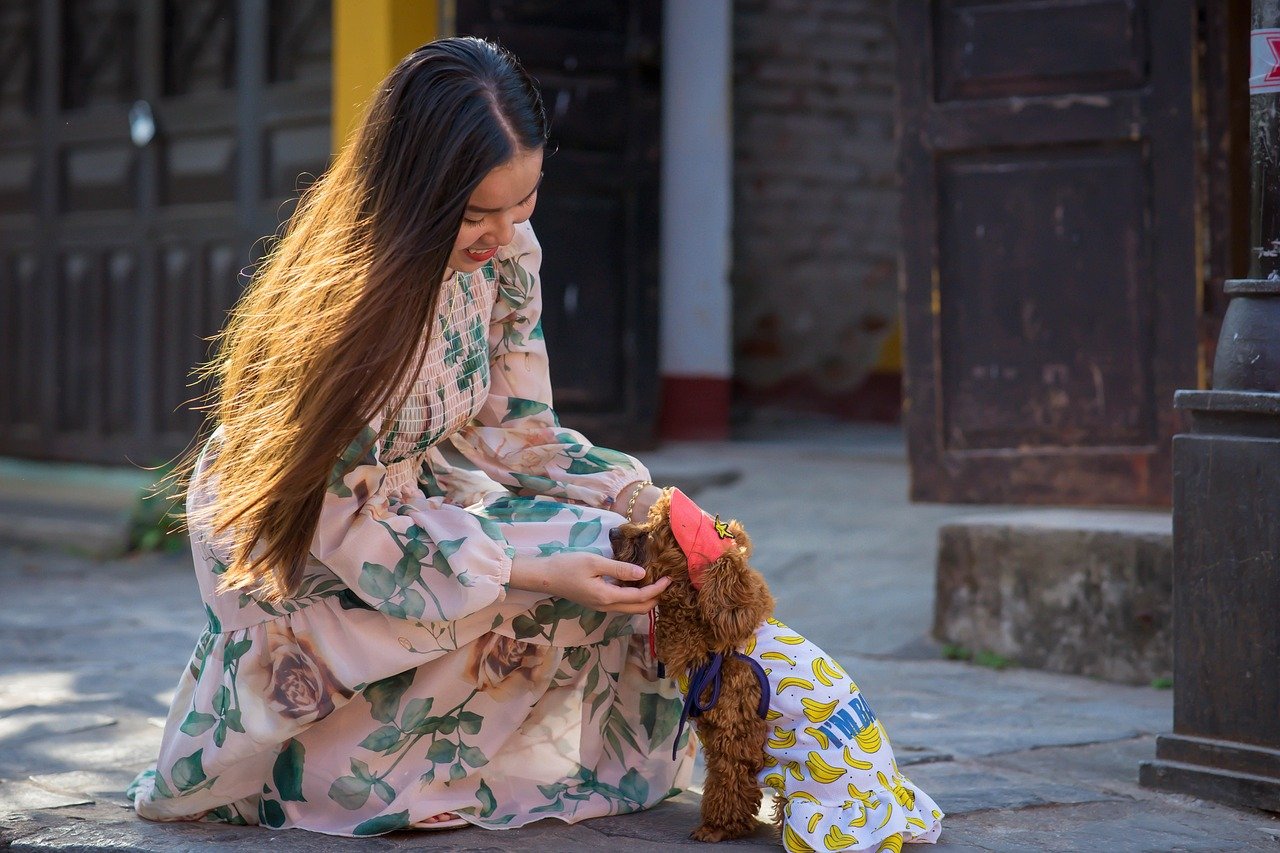 Boosting Your Mood, One Tail Wag at a Time (image credits: pixabay)