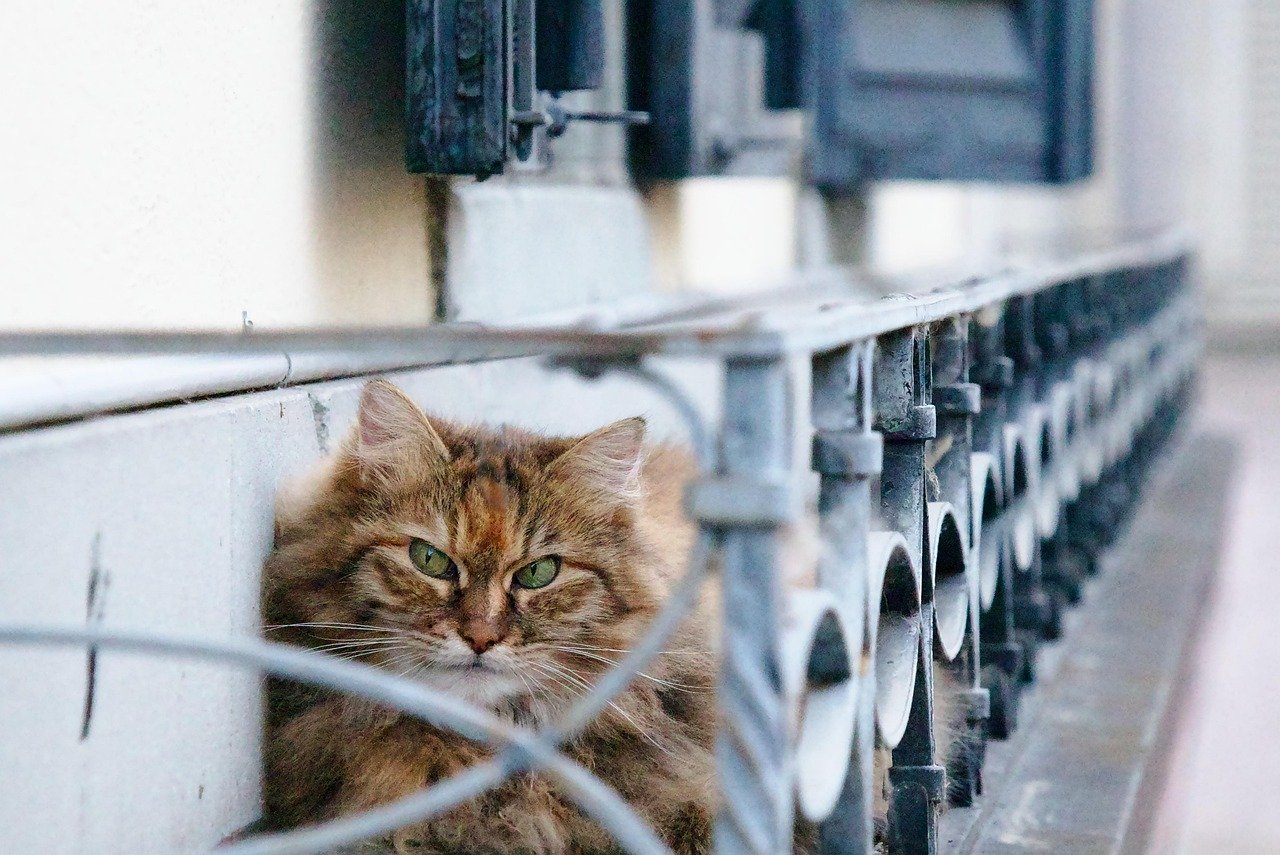 Huffing or Sighing Loudly (image credits: pixabay)