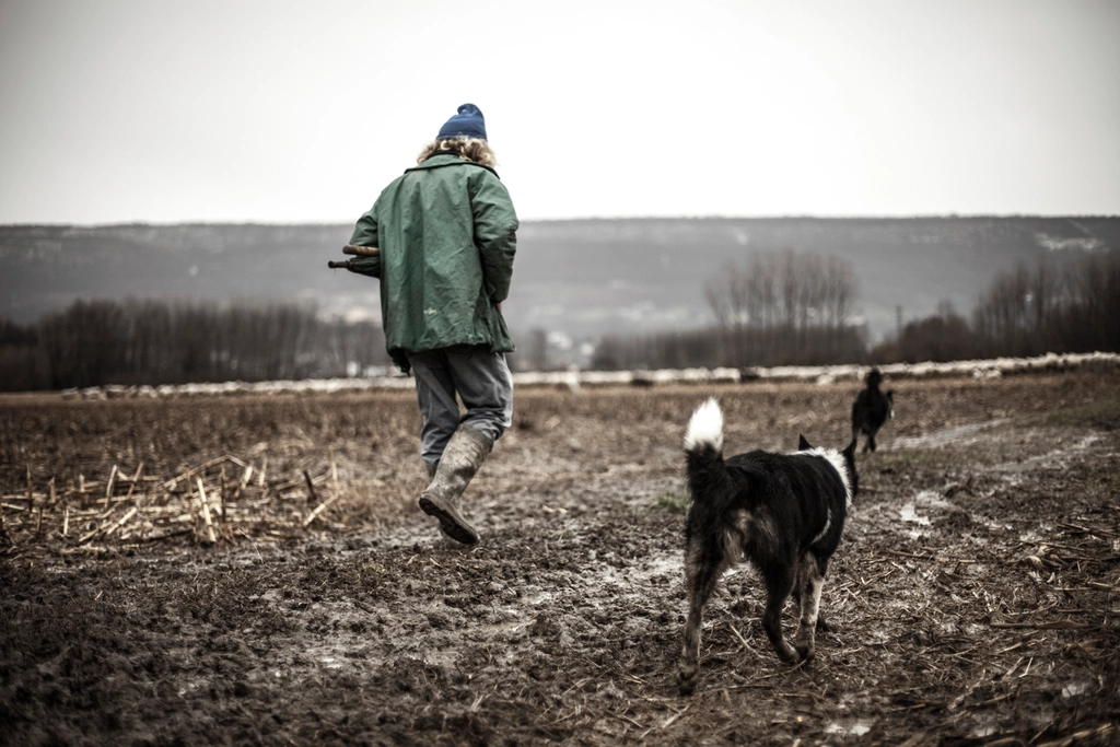 Following You Everywhere (image credits: rawpixel)