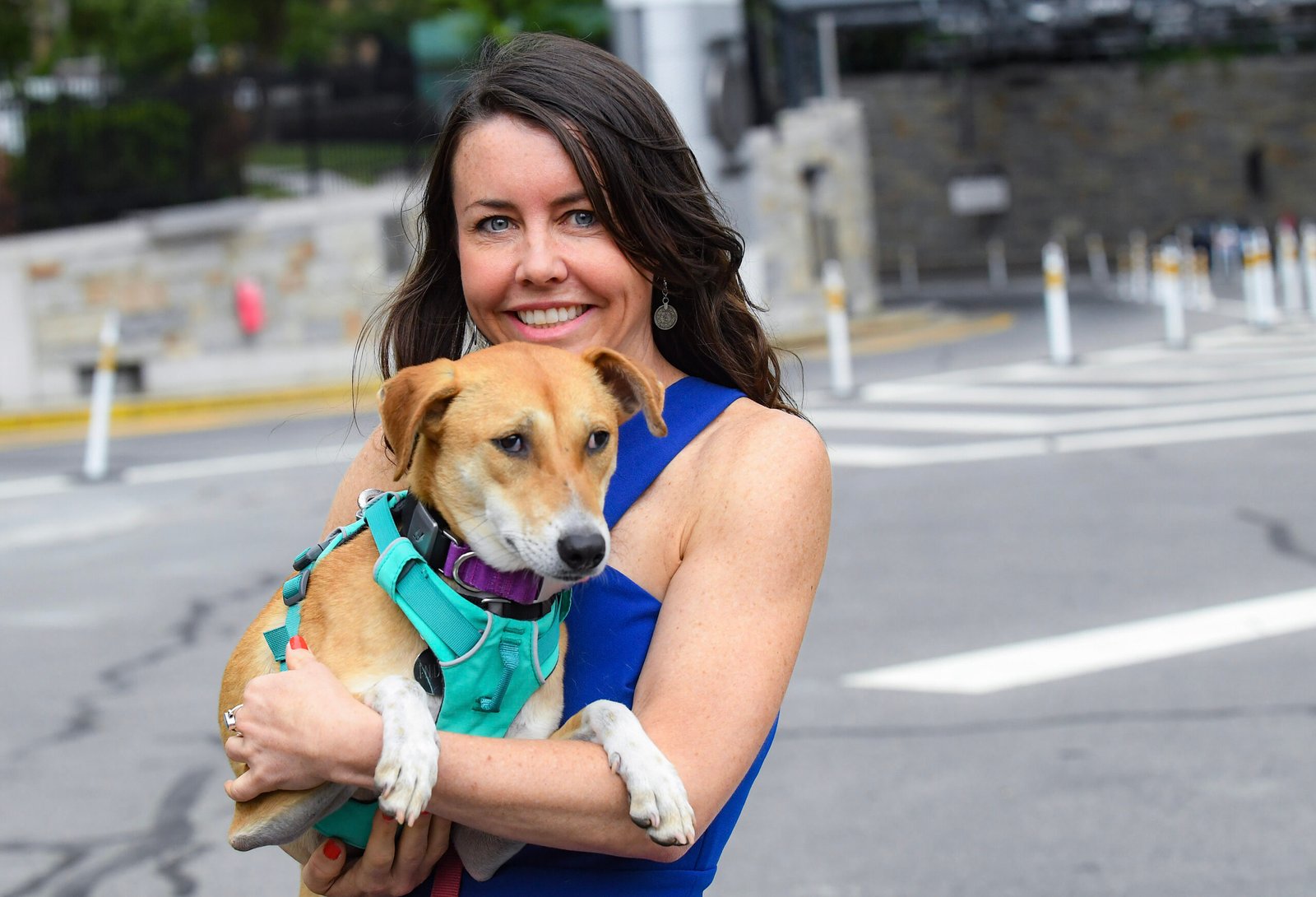 10 Signs You’re the Perfect Dog Parent at Any Age — and 10 Areas to Improve