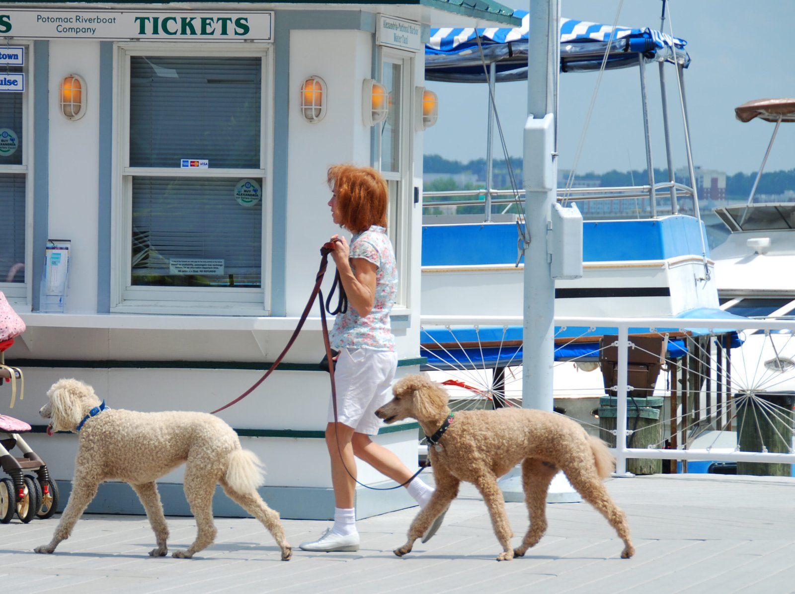 Low Maintenance Exercise Needs (image credits: wikimedia)