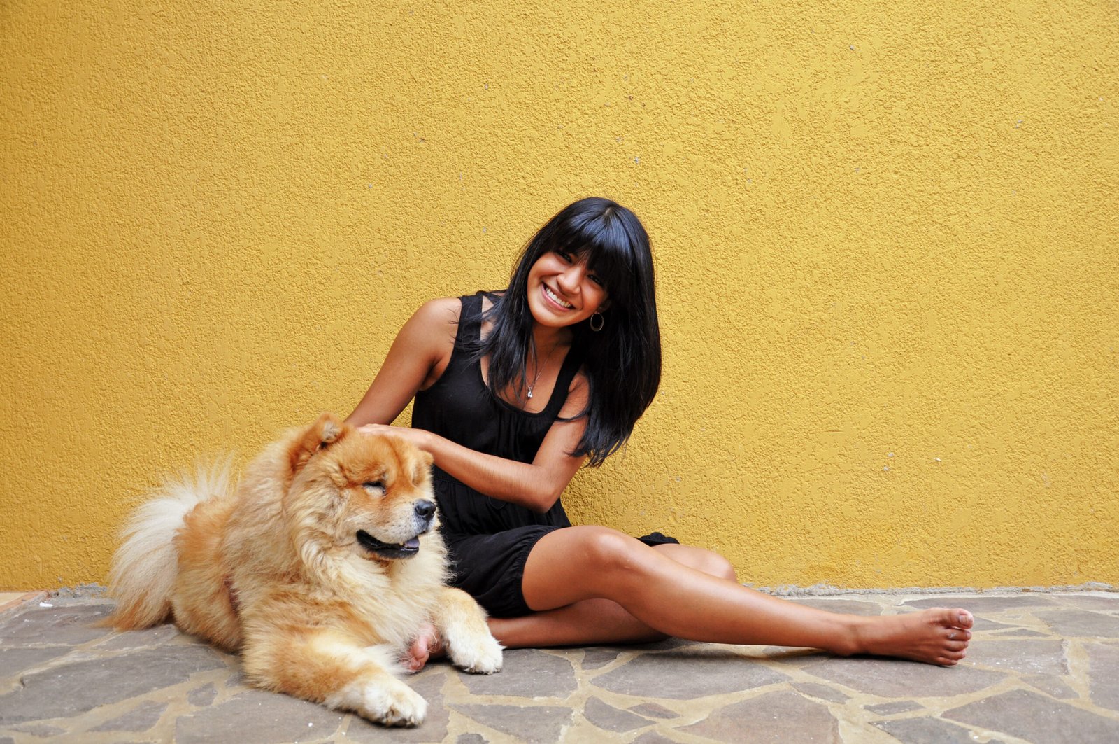 How Your Dog Shows Affection Without Touch