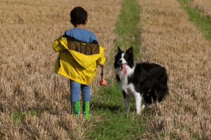 Emotional Anchors: How Dogs Keep Us Grounded at Any Age