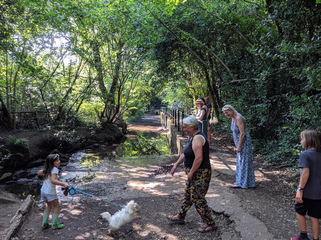 Encouraging Social Interaction (image credits: wikimedia)