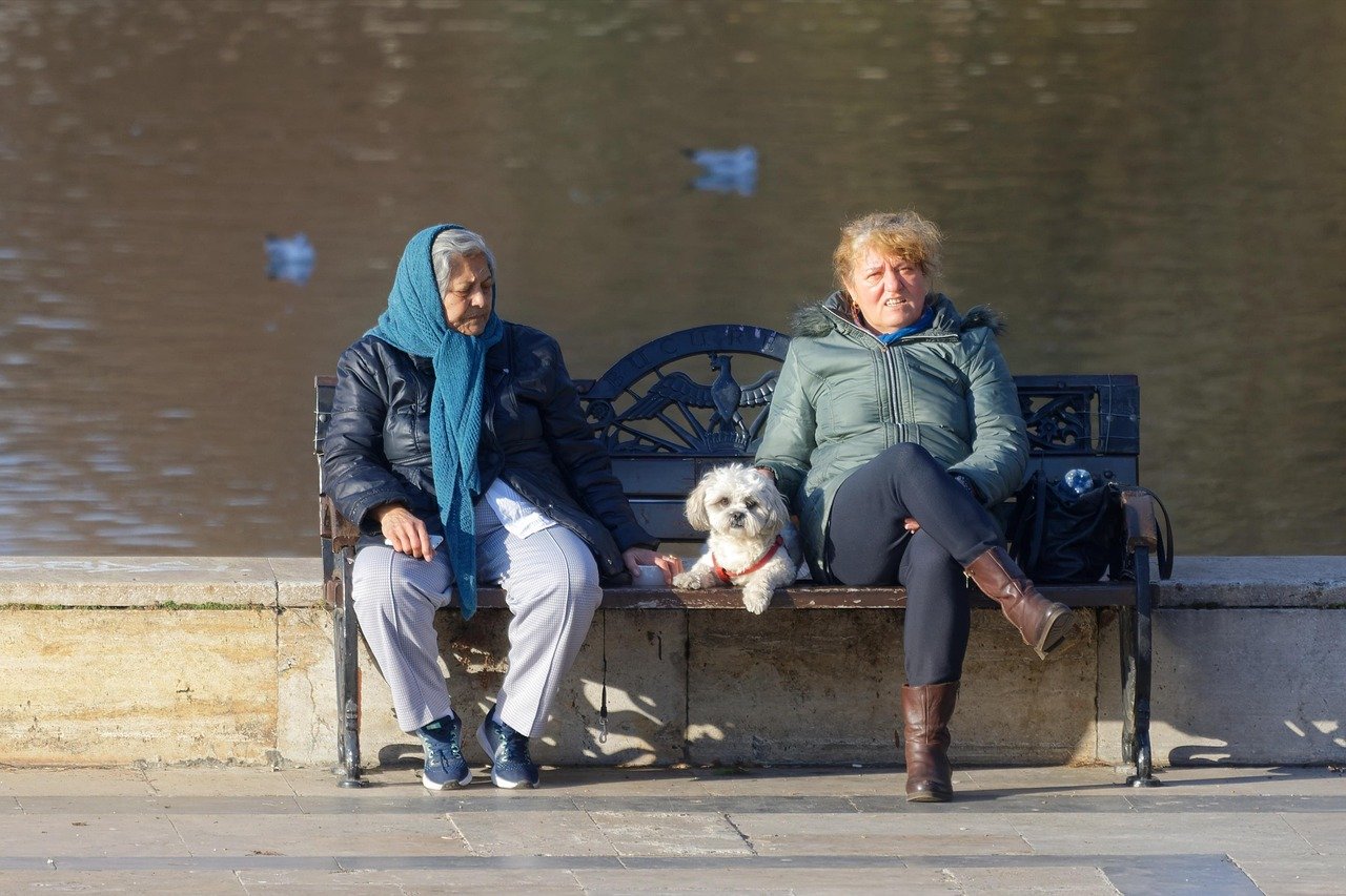 12 Ways Dogs Heal Senior Hearts Daily