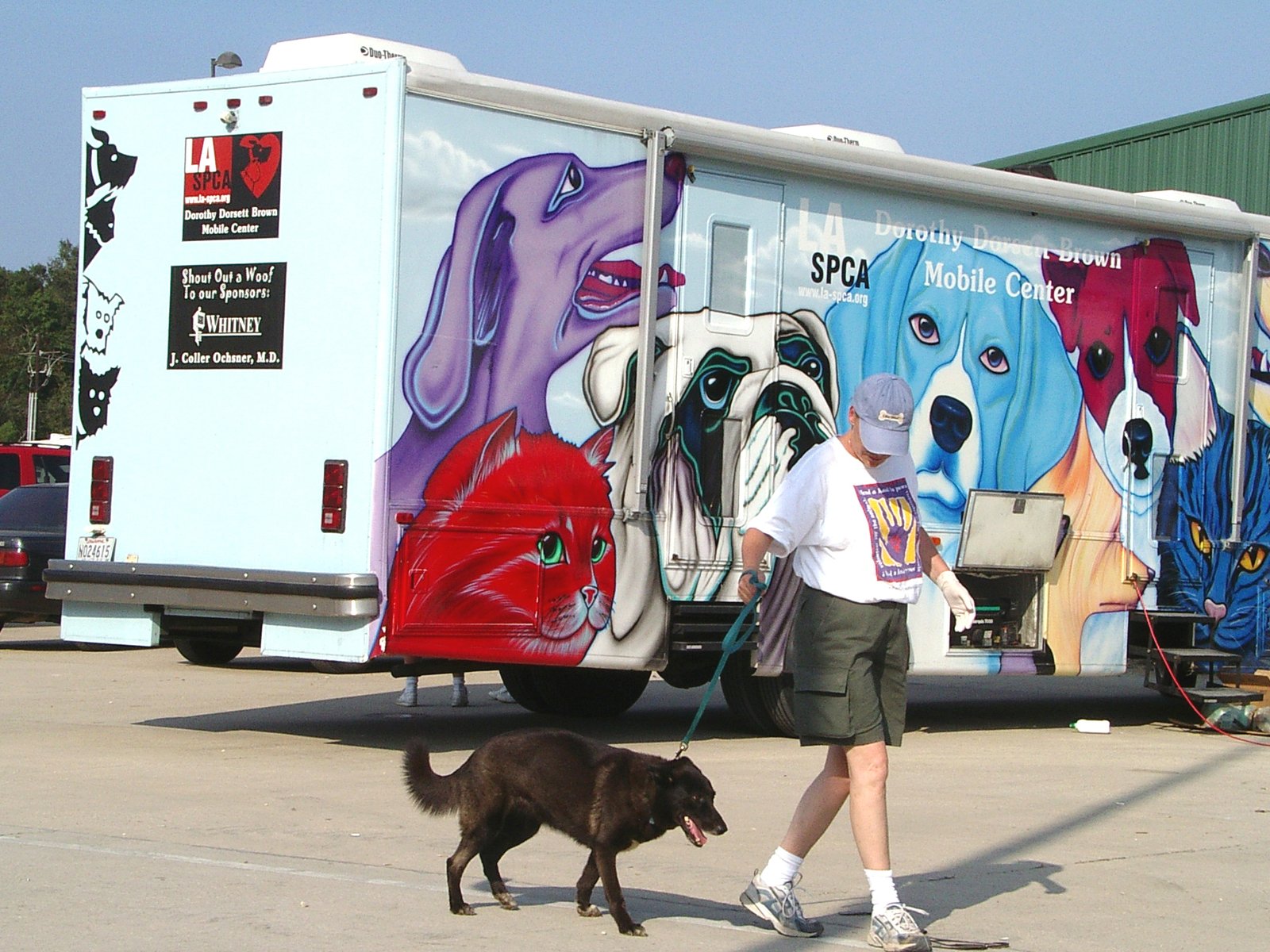 Managing Health Emergencies&mdash;For You and Your Dog (image credits: wikimedia)