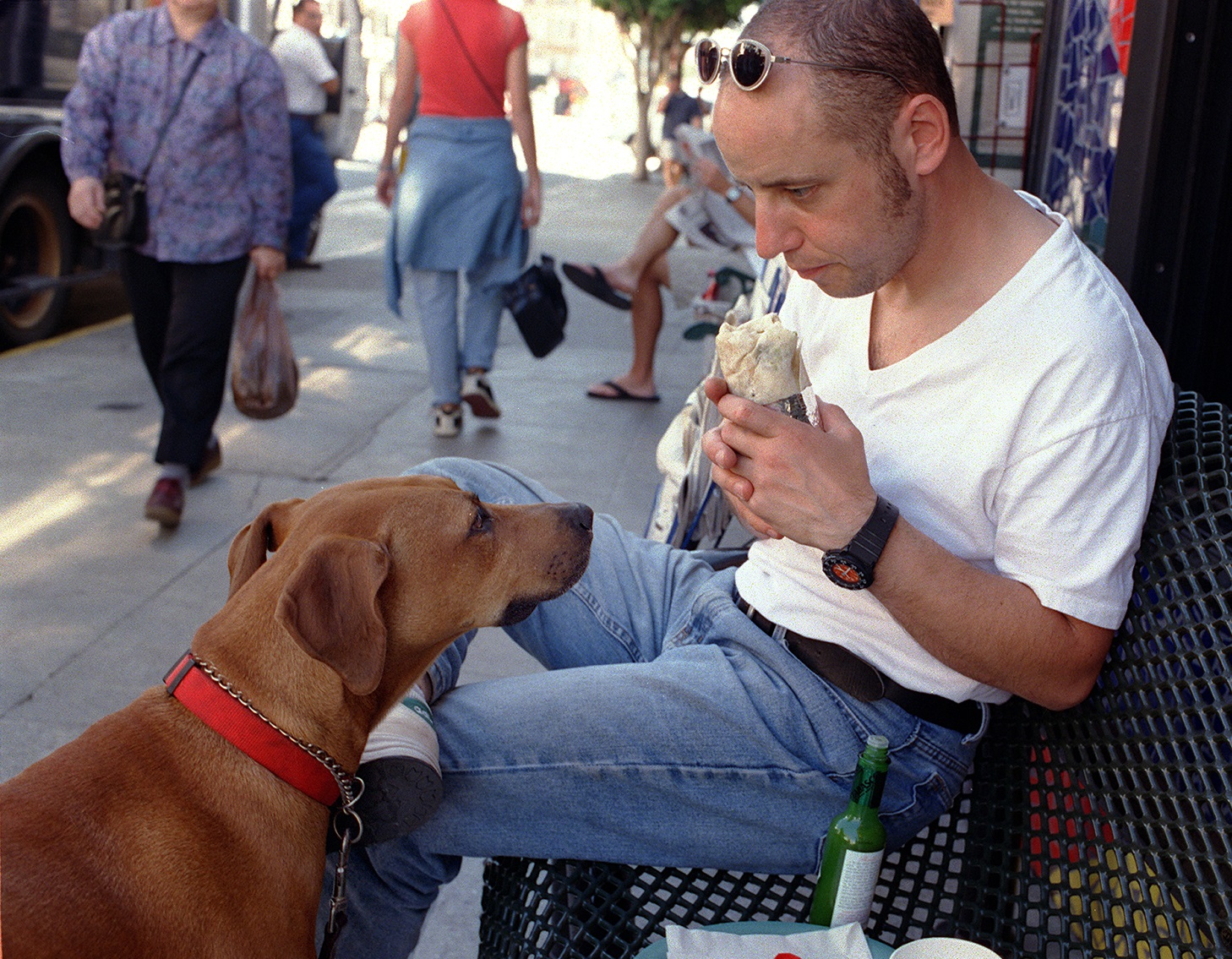 Sharing Food (Or Not) (image credits: wikimedia)