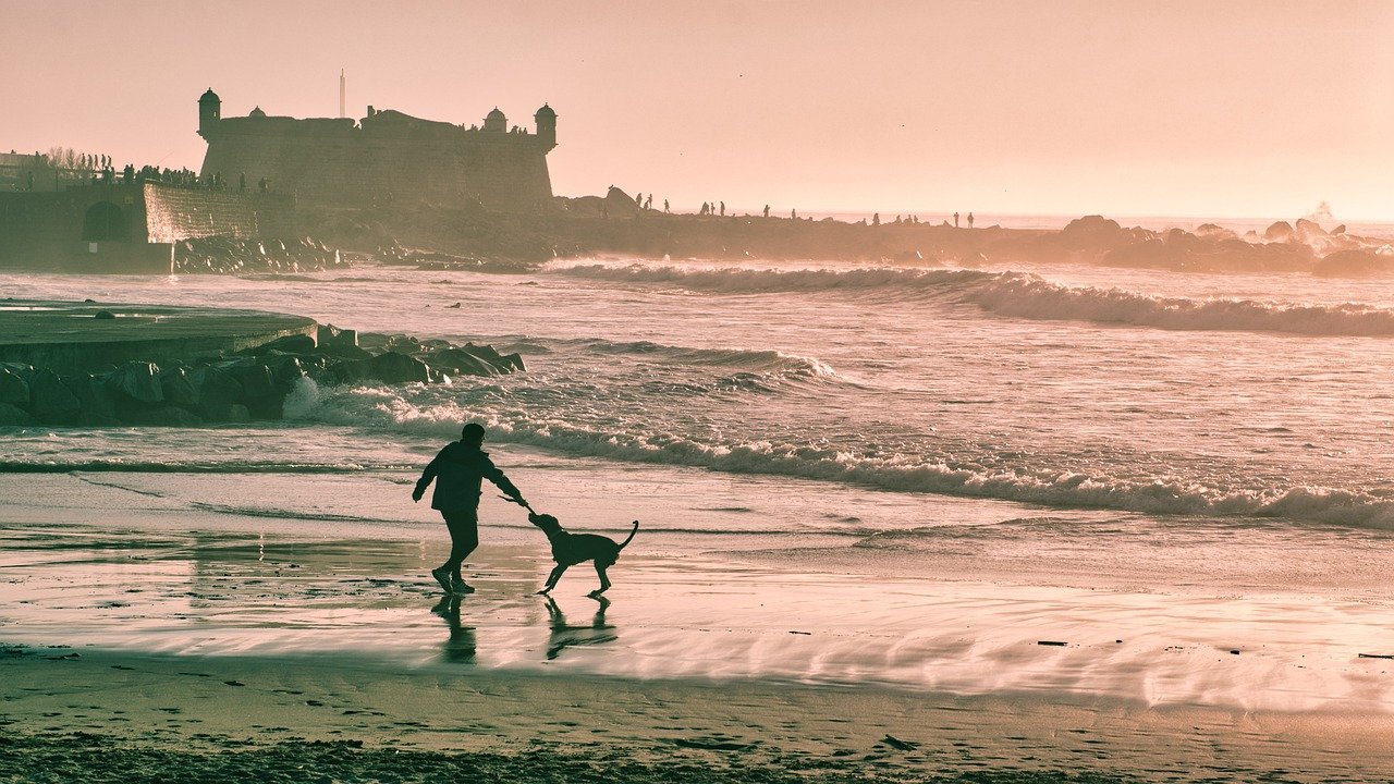 Bringing Out Our Playful Side (image credits: pixabay)