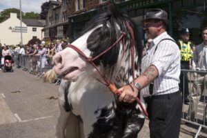 10 Signs Your Horse Feels Your Fears Too