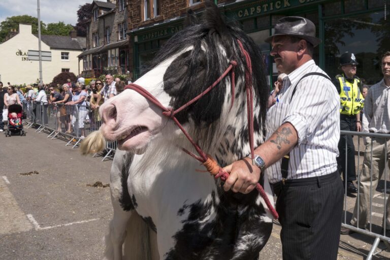 10 Signs Your Horse Feels Your Fears Too