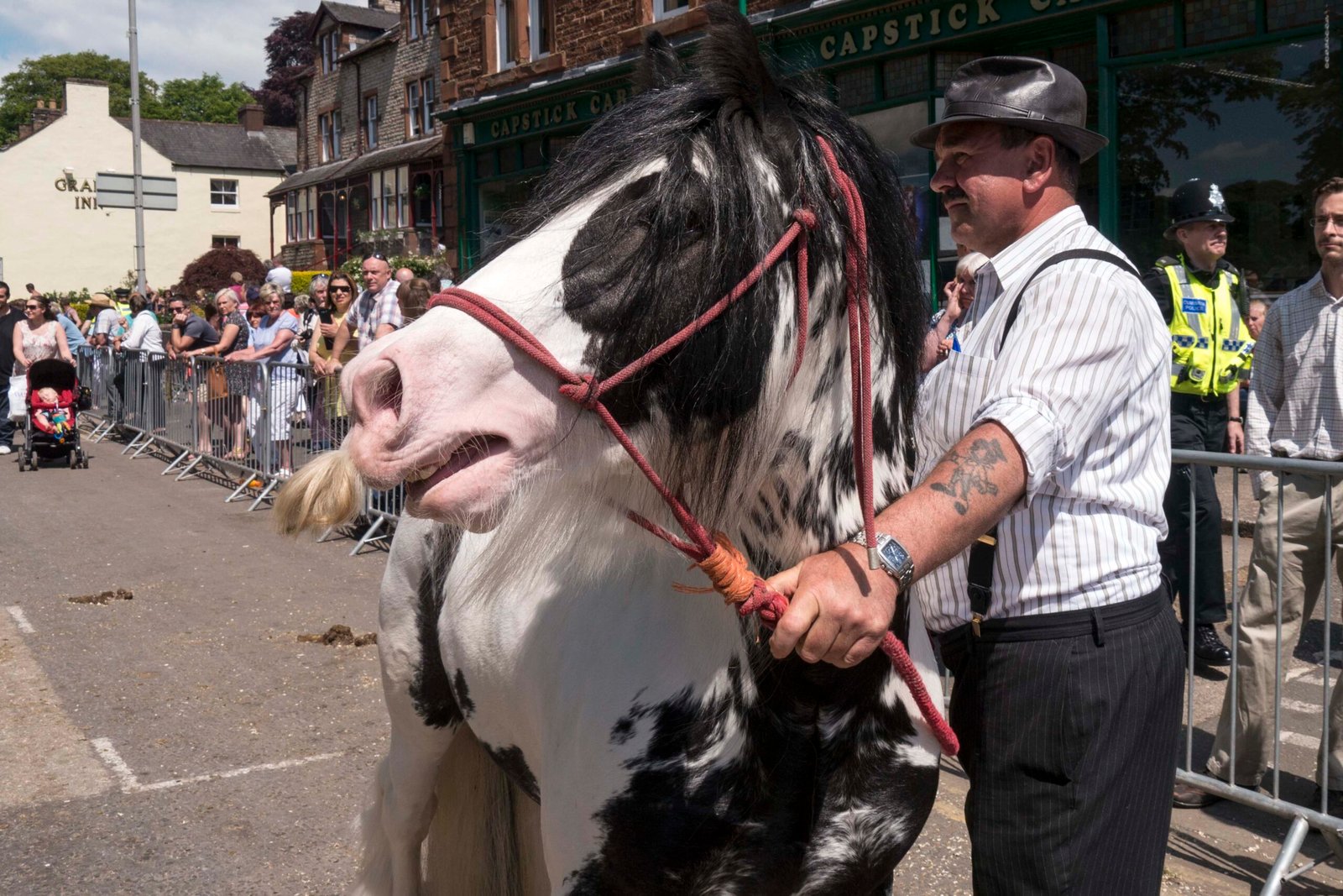 10 Signs Your Horse Feels Your Fears Too