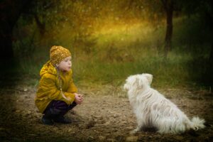 15 Top Ways Dogs Prove They're The Perfect Buddies For Children