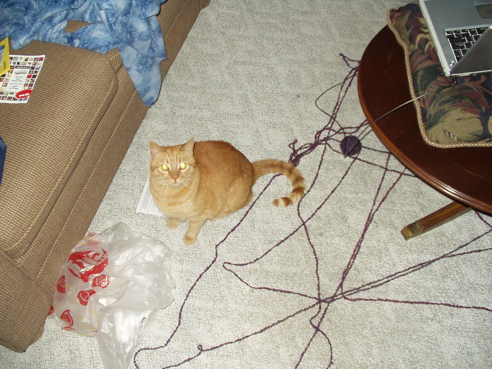 String, Yarn, and Thread (image credits: wikimedia)