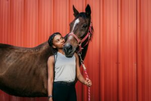 How Horses Mirror Human Moods And Energy