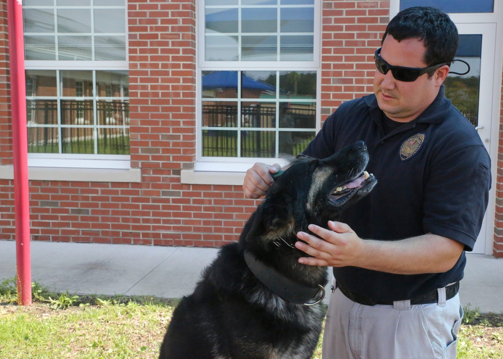 Building a Stronger Bond Through Trust (image credits: wikimedia)