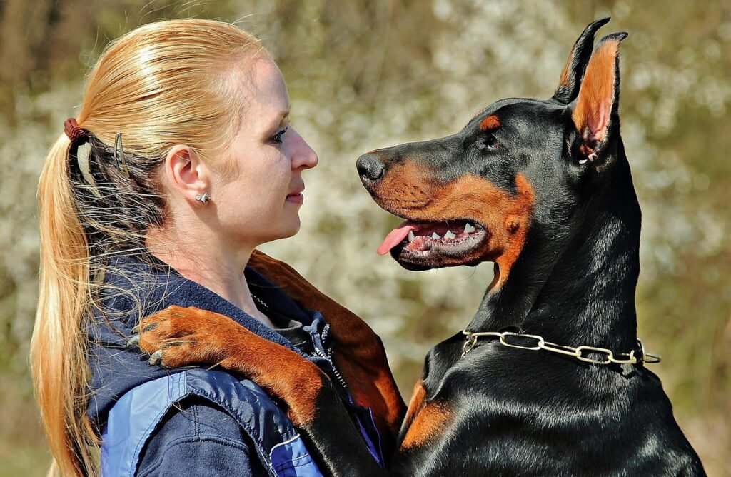 doberman, animal, dog, embrace, love, woman with a dog, pet, friendship