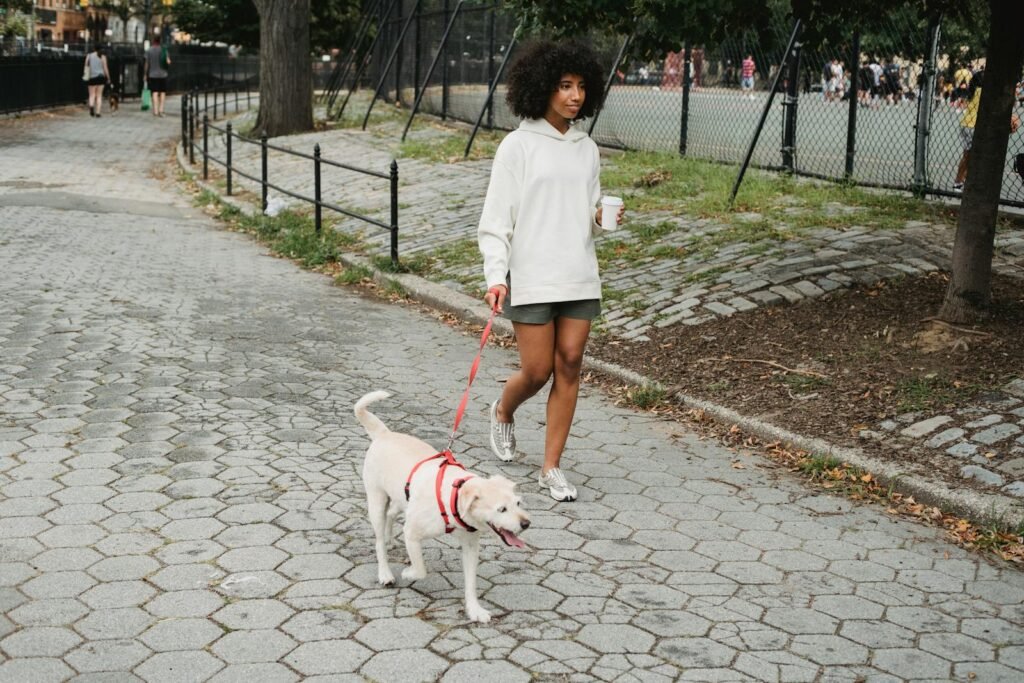 A woman with Afro hair walks her dog on a leash while holding coffee in a city park.