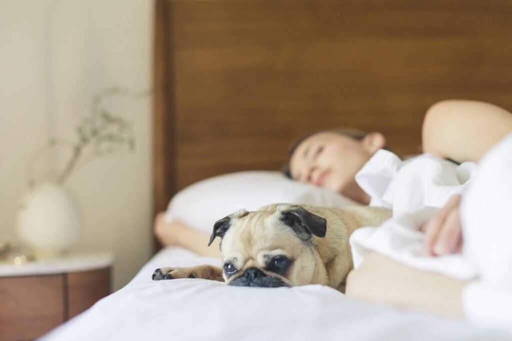 A relaxed woman and her pug dog resting comfortably on a bed, showcasing a cozy lifestyle moment.