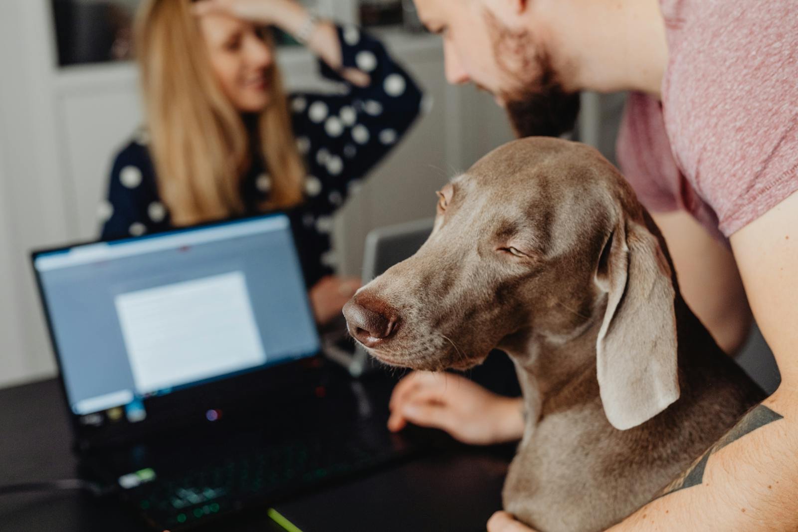 New Research Shows Dogs Mirror Their Owners’ Work Stress
