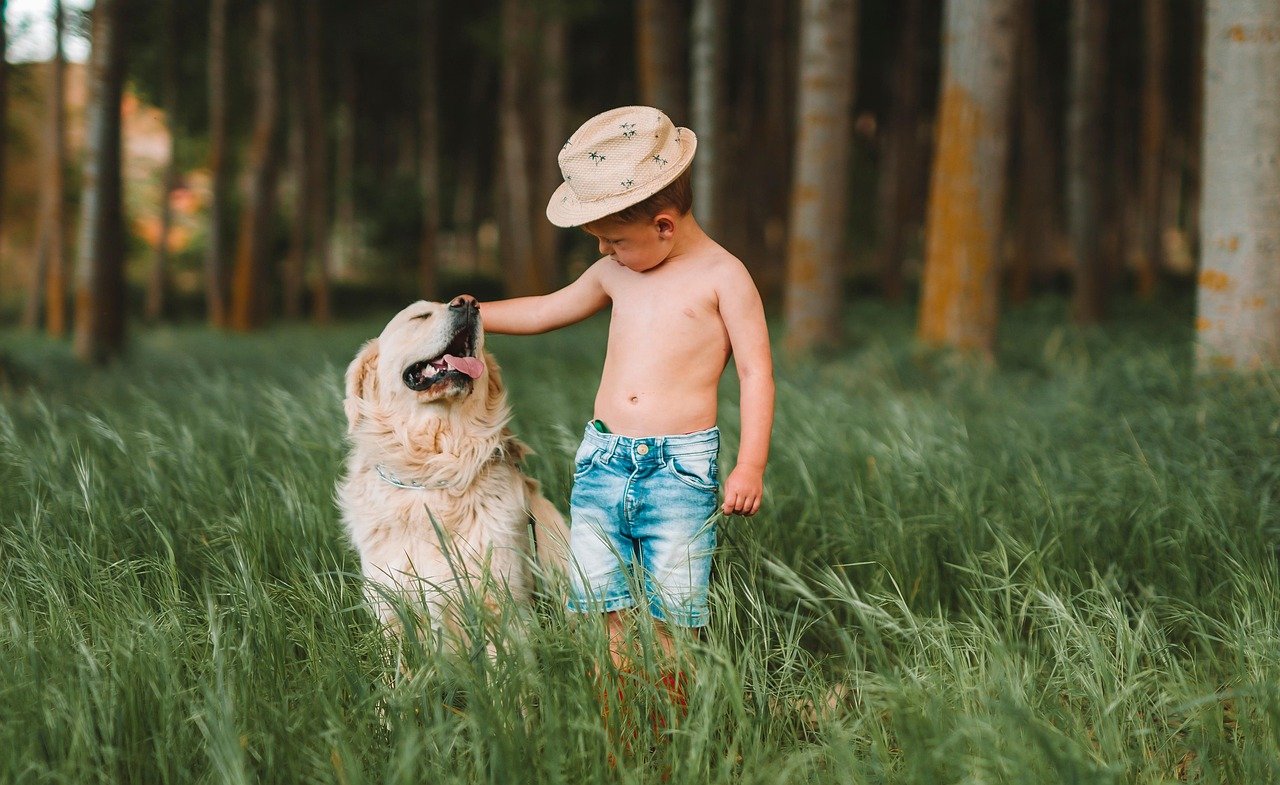 child, dog, field, boy, friends, love, young, kid, pet, animal, cute, meadow, grass, nature, outdoors, dog, dog, dog, dog, dog, boy, love, nature