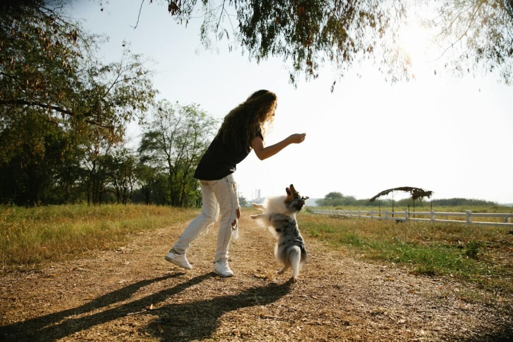A girl joyfully plays with her pet dog in a sunny outdoor field, showcasing friendship and freedom.