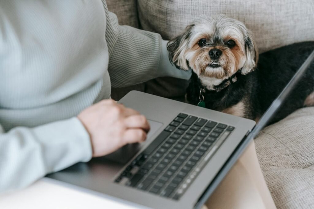 A woman works on a laptop at home with her loyal Yorkshire Terrier beside her, embodying the remote work lifestyle.
