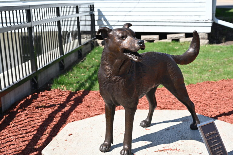 Brownie the War Dog Gets the Hero’s Tribute He Deserves