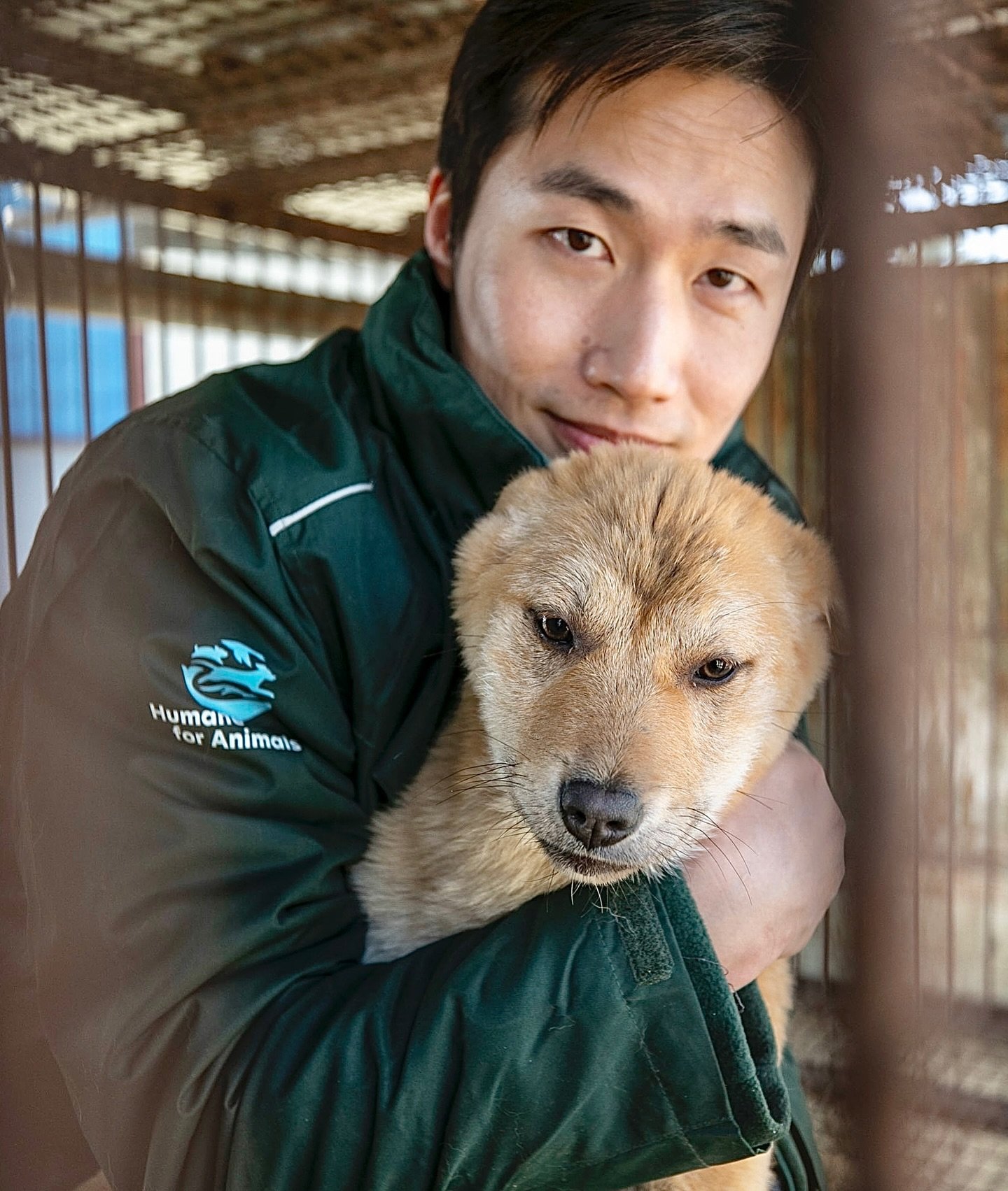 From Meat Farm to Freedom: 67 Dogs Saved in South Korea