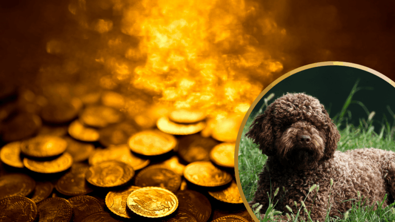 10 Amazing Archaeological Discoveries Made By Dogs