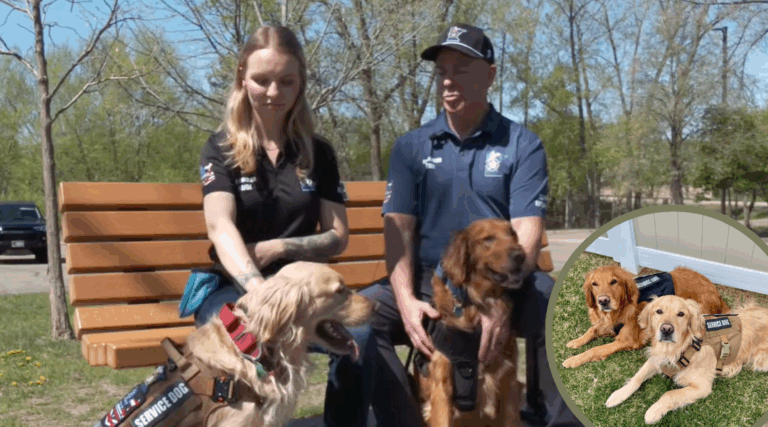 Meet the Golden Retrievers Bringing Comfort to Minnesota’s Heroes