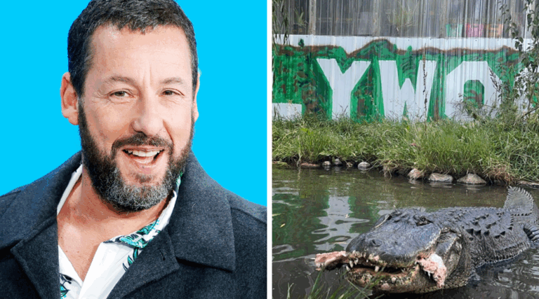 Adam Sandler Mourns Death of ‘Happy Gilmore’ Alligator Co-Star