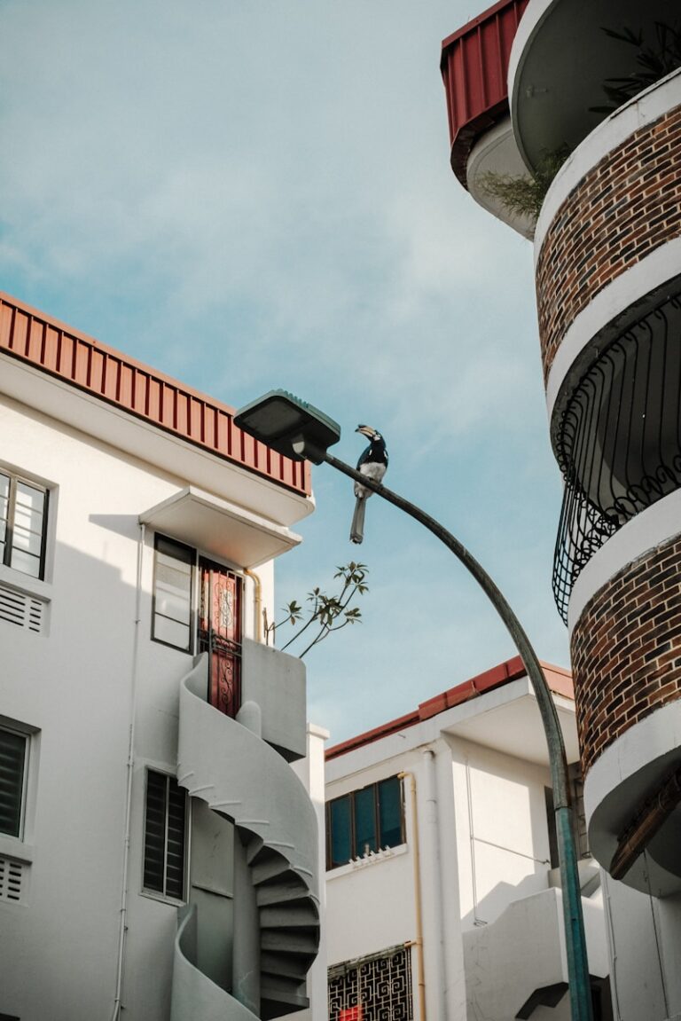 a bird is perched on the top of a building